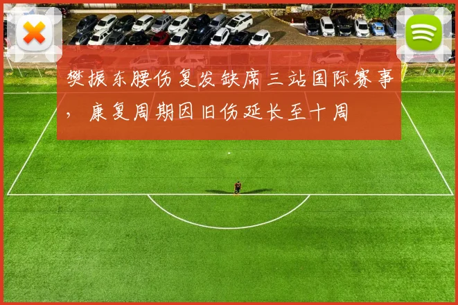 樊振东腰伤复发缺席三站国际赛事,康复周期因旧伤延长至十周